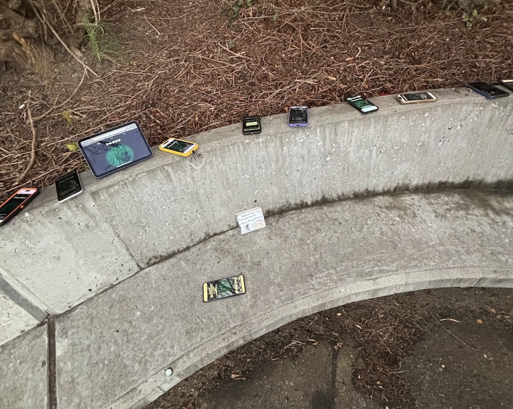 phones running Frog Chorus