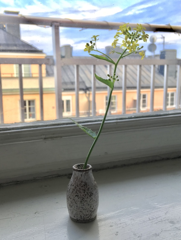 photo of a travel vase on a windowsill