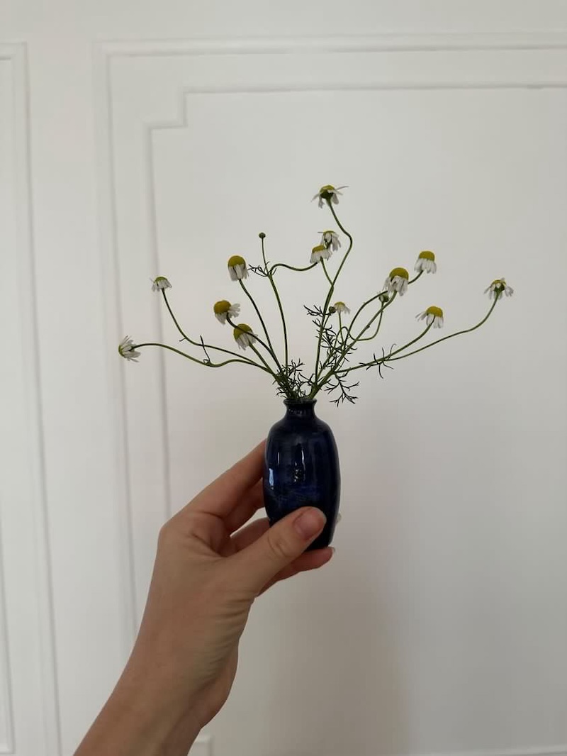 photo of sheryl's travel vase